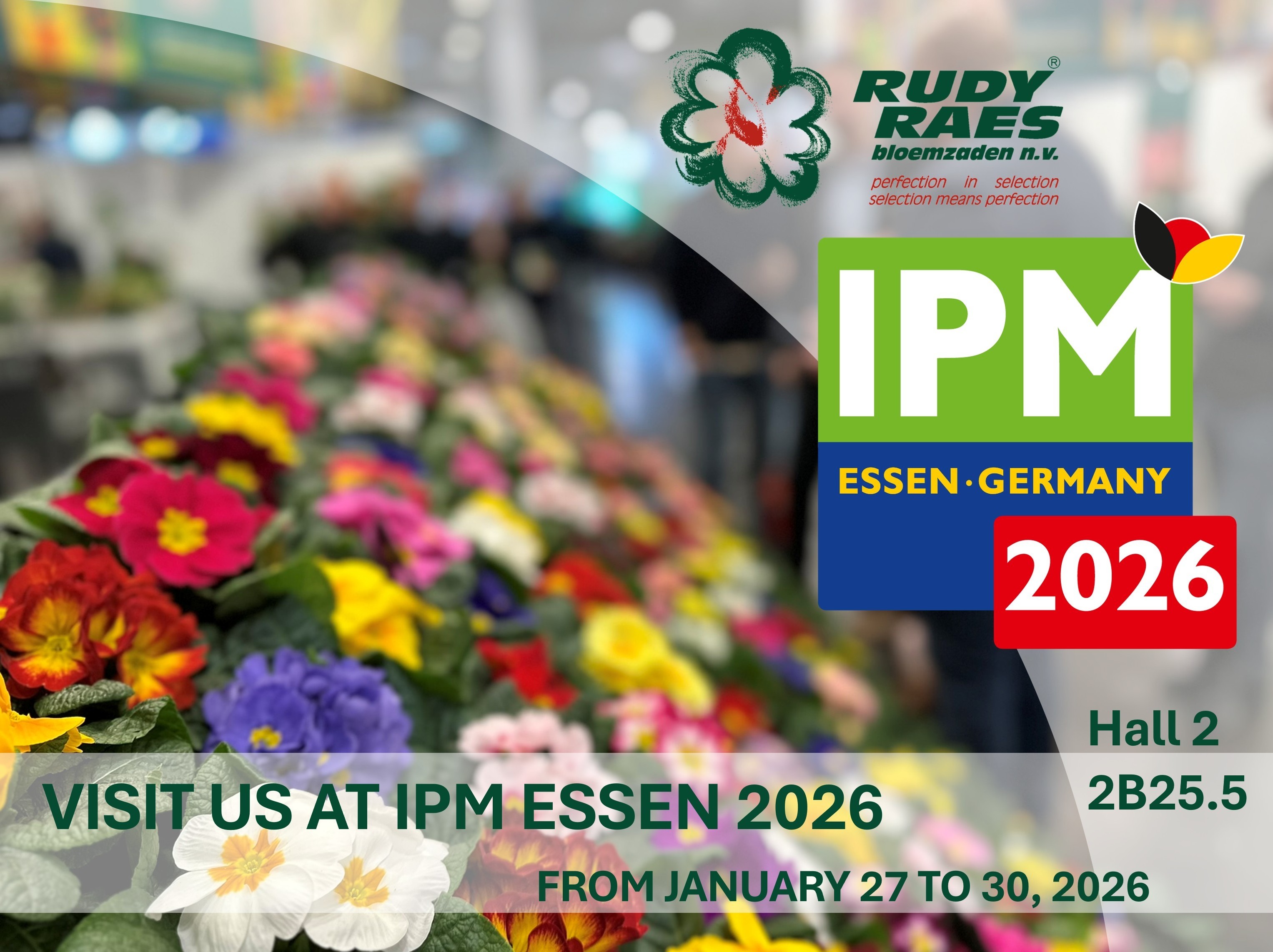 IPM 2026